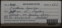 Image Associated With the Occurence